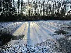 Angelteich in Märschendorf
