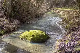 der Bachablauf mit dem Kallmünzer