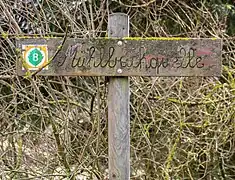 ortsgebräuchlicher Name "Mühlbachquelle"