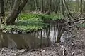 Der Mühlenbach als naturnaher Bach