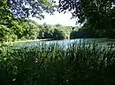 Ovelgönner Mühlenteich.