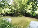 Mündung der Nässe in die Nüst