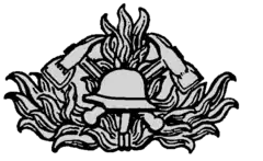 Mützenabzeichen