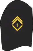 Ärmelabzeichen der Jacke (Dienstanzug) eines Obermaats (20er Verwendungsreihen)