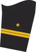 Dienstgradabzeichen eines Oberleutnants zur See (Truppendienst oder militäfachlicher Dienst) auf dem Unterärmel der Jacke des Dienstanzuges für Marineuniformträger
