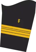 Dienstgradabzeichen eines Flottillenarztes (Approbation für Humanmedizin) auf dem Unterärmel der Jacke des Dienstanzuges für Marineuniformträger