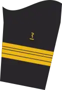 Ärmelabzeichen der Jacke des Dienstanzuges für Marineuniformträger (Humanmediziner).