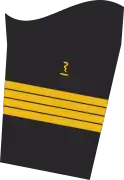 Ärmelabzeichen der Jacke des Dienstanzuges für Marineuniformträger (Humanmediziner).