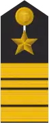 Schulterklappe eines Fregattenkapitäns (Truppendienst)