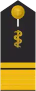 Schulterklappe für Marineuniformträger (Humanmediziner).