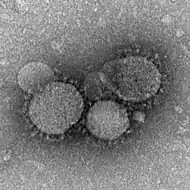 Middle East respiratory syndrome-related coronavirus (MERS-CoV)