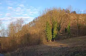 Bergsporn der Schlüsselburg von Süden