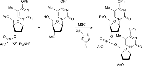 MSCl als Aktivierungsreagenz bei der Phosphotriester-Methode