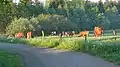 Quellwald der Munkbrarupau in Maasbüll am Moorweg. Flusskilometer 0,06