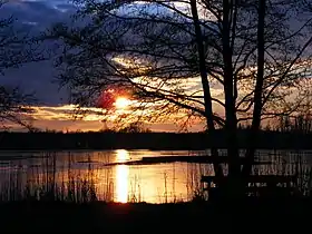 Sonnenuntergang an den Maasdorfer Teichen