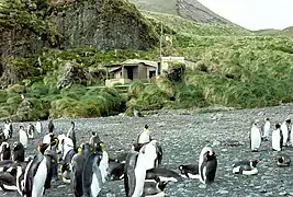 Green Gorge Hut, Hütte des Australischen Antarktisamtes