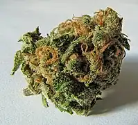 Marihuana