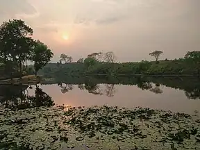 See im Nationalpark