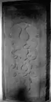 7.