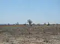 Typische Landschaft bei Mahaboboka