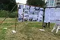 Maifisch-Ausstellung des Poller Heimatmuseums in Kripp 2017 anlässlich Maifischbesatz an der Ahrmündung