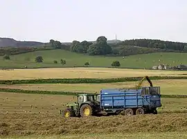 Blick auf die Umgebung von Auchterhouse