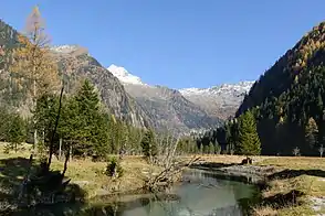 Seebachtal mit Ankogel