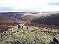 Ein typisches Landschaftsbild im Exmoor