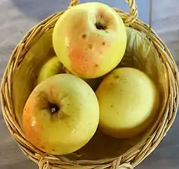 Apfel von Croncels