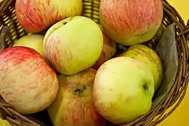 Dülmener Herbstrosenapfel