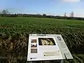 Infotafel am Fundort