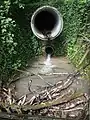 Tosbecken