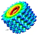 Abb. 3: Modell des Marburg-Virus. Maßstab 5&nbsp;nm.