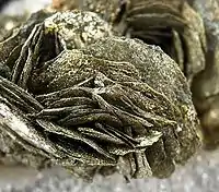 Blätterkies aus Roșia Montană, Rumänien (Gesamtgröße der Probe 4,8 cm × 3,3 cm × 2,3 cm)