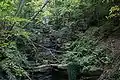 Die Margarethenschlucht bei Neckargerach ist ein zum Neckar hin erodierter, steiler Einschnitt in die Buntsandsteinstufe