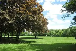 Wiesenpartie (2018)