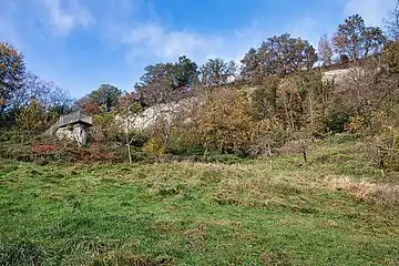 Aussichtskanzel und Maronibäume auf dem Buechberg