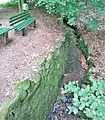 Raupenbach