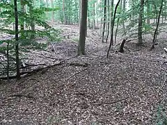 Runse oberhalb der Quelle