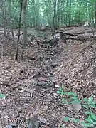 Linker Zulauf