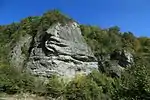 Schwammriff-Massenkalkfazies "Markgrafenstein" bei Streitberg/Oberfranken