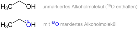 Beispiel einer Isotopen-markierten Verbindung