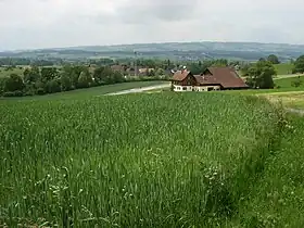 Maschwanden gegen den Lindenberg