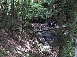 Brücke im „Masdascher Burgherrenweg“ unterhalb des Felsentores.