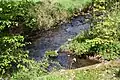 Der Zufluss des Masselbach (oben) in den Brexbach