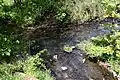 Der Zufluss des Masselbach (rechts oben) in den Brexbach