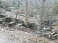 Mathildenquelle am Bachlauf