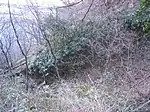 Gemauerte Reste der Trasse