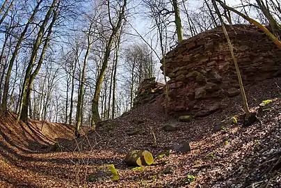 Mauerreste der Burg Hohenlandsberg