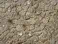 Mauerwerk in Bolsena (Italien)